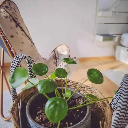 Dom wakacyjny De L'ourchet Ramillies