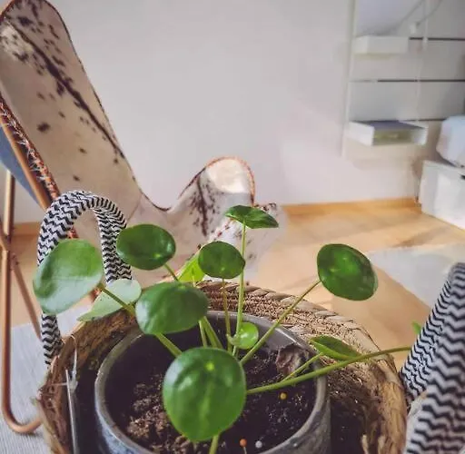 Hébergement de vacances De L'ourchet Ramillies